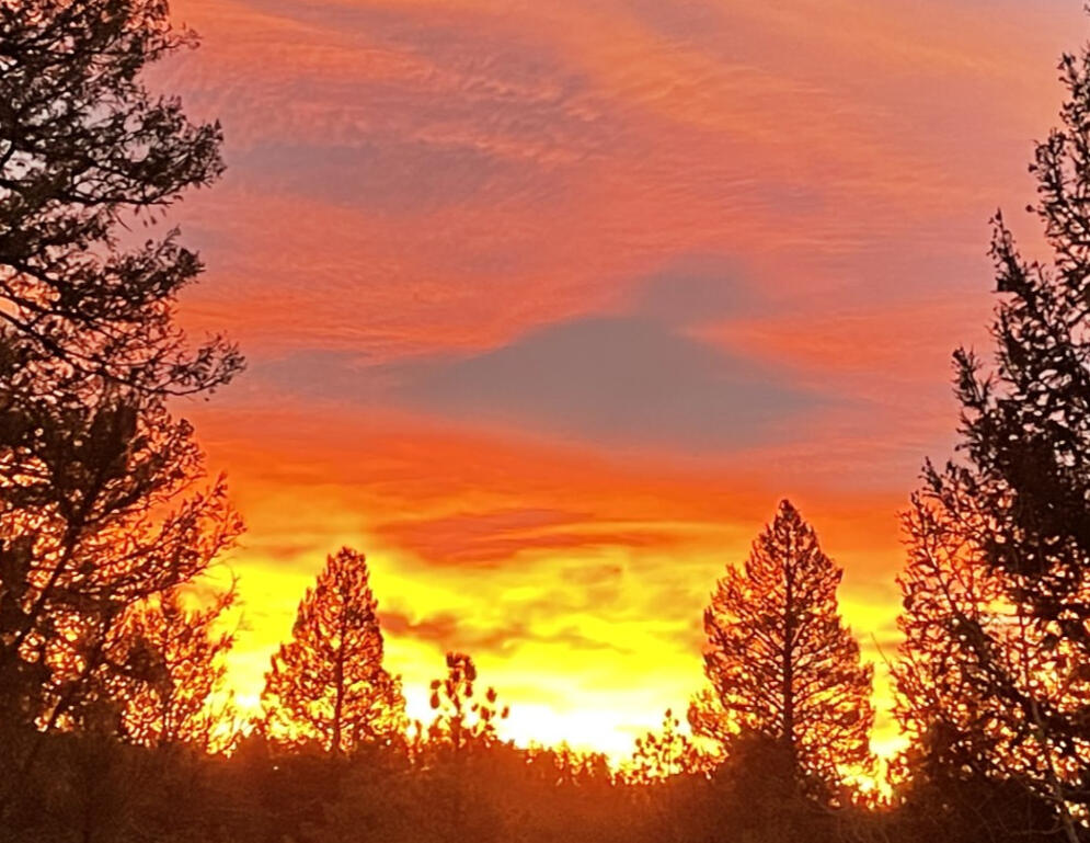 HealthGuard™ Account